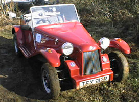 Red Tempest in a muddy field